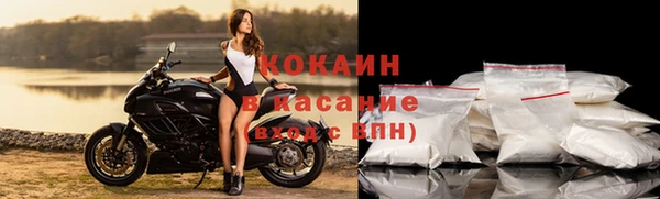 дживик Алзамай