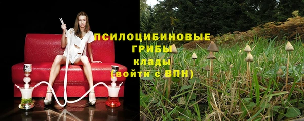 apvp Алексин