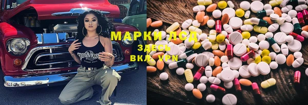 apvp Алексин