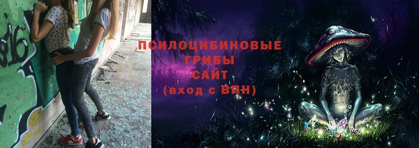 apvp Алексин