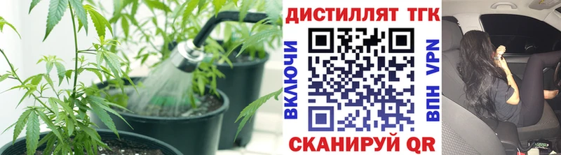 Дистиллят ТГК Wax  Нижние Серги 